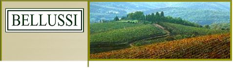 http://www.bellussi.com/ - Bellussi - Top Australian & New Zealand wineries