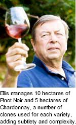About Bellvale Wines