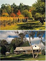 http://www.bluepyrenees.com.au/ - Blue Pyrenees - Top Australian & New Zealand wineries