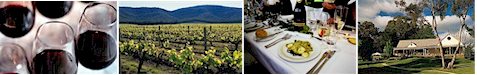 http://www.bluepyrenees.com.au/ - Blue Pyrenees - Top Australian & New Zealand wineries