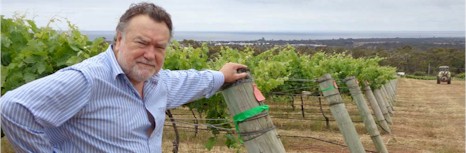 https://www.cfvwine.com.au/ - Calneggia - Top Australian & New Zealand wineries
