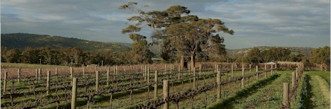 https://www.corymbiawine.com.au/ - Corymbia - Top Australian & New Zealand wineries