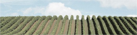 http://www.driftwines.com/ - Drift - Top Australian & New Zealand wineries