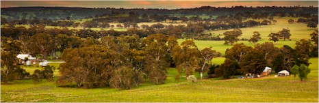 http://www.huttonvale.com/ - Hutton Vale Farm - Top Australian & New Zealand wineries