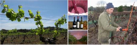 http://www.kalleske.com/ - Kalleske - Top Australian & New Zealand wineries