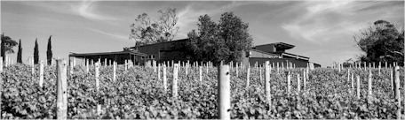 http://www.thelane.com.au/ - Lane Vineyard - Top Australian & New Zealand wineries