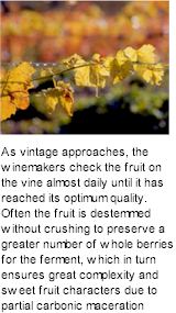 About Langmeil Wines