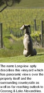 About Longview Winery