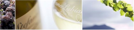 http://www.slw.com.au/ - Stefano Lubiana - Top Australian & New Zealand wineries