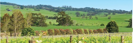 https://lucindaestate.com.au/ - Lucinda - Top Australian & New Zealand wineries