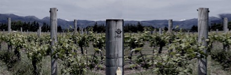 http://mahiwine.co.nz/ - Mahi - Top Australian & New Zealand wineries