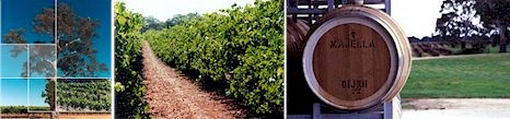 http://www.majellawines.com.au/ - Majella - Top Australian & New Zealand wineries