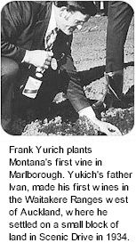 About Montana Wines