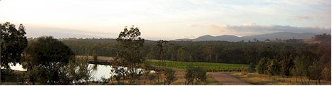http://www.sallyspaddock.com.au/ - Sallys Paddock - Top Australian & New Zealand wineries