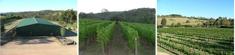 http://www.redboxvineyard.com.au/ - Redbox - Top Australian & New Zealand wineries