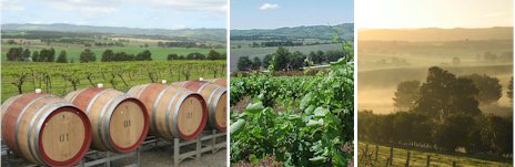 http://www.taitwines.com.au/ - Tait - Top Australian & New Zealand wineries