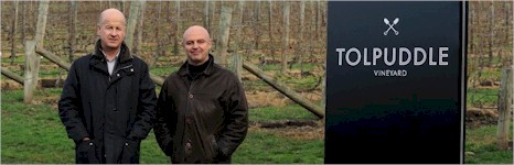 http://www.tolpuddlevineyard.com/ - Tolpuddle - Top Australian & New Zealand wineries