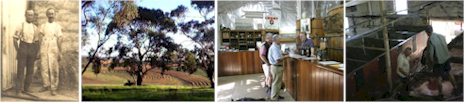http://www.kaybrothersamerywines.com/ - Kay Brothers - Top Australian & New Zealand wineries
