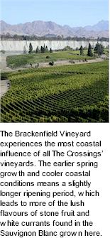 More About The Crossings Wines
