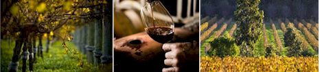 http://www.frasergallopestate.com.au/ - Fraser Gallop - Top Australian & New Zealand wineries