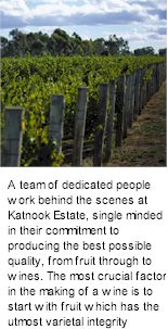 http://www.katnookestate.com.au/ - Katnook - Top Australian & New Zealand wineries