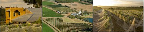 http://www.lentonbrae.com/ - Lenton Brae - Top Australian & New Zealand wineries