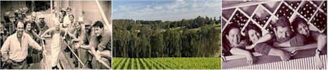 http://www.capementelle.com.au/ - Cape Mentelle - Top Australian & New Zealand wineries