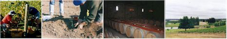 http://www.picardy.com.au/ - Picardy - Top Australian & New Zealand wineries