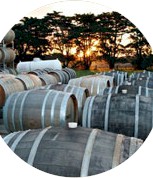 http://davidtraegerwines.com.au/ - David Traeger - Top Australian & New Zealand wineries