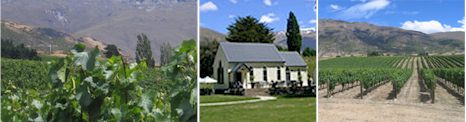 http://www.waitiricreek.co.nz/ - Waitiri Creek - Top Australian & New Zealand wineries