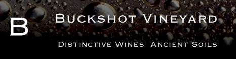 http://buckshotvineyard.com.au/ - Buckshot - Top Australian & New Zealand wineries