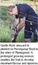 More About Castle Rock Wines