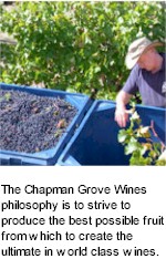 About Chapman Grove Winery