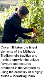 About Clover Hill Winery