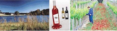 http://www.devils-lair.com/ - Devils Lair - Top Australian & New Zealand wineries