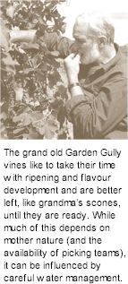 More on the Garden Gully Winery