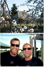 About Gibson Winery