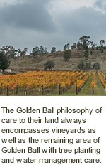 About the Golden Ball Winery
