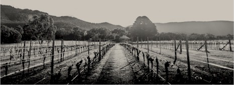 https://www.fallengiants.com.au/ - Halls Gap Estate - Top Australian & New Zealand wineries