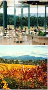 About Lillydale Estate Winery
