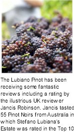 http://www.slw.com.au/ - Stefano Lubiana - Top Australian & New Zealand wineries