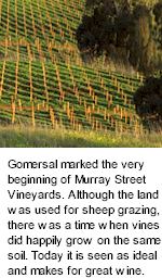 More on the Murray Street Winery