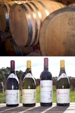 More About Sorrenberg Winery