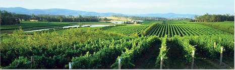 http://www.tamarridgewines.com.au/ - Tamar Ridge - Top Australian & New Zealand wineries
