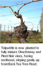 More on the Tolpuddle Winery