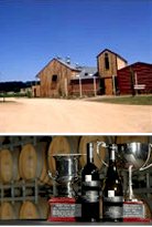 More About Willow Creek Winery