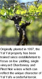 More on the Yal Yal Winery