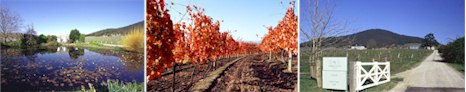 http://www.yarrayering.com/ - Yarra Yering - Top Australian & New Zealand wineries