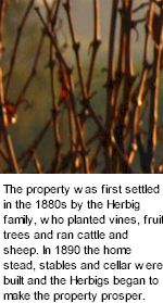 About Glen Eldon Winery