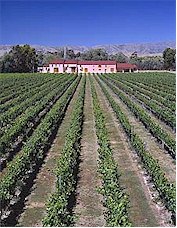 About the Isabel Estate Winery